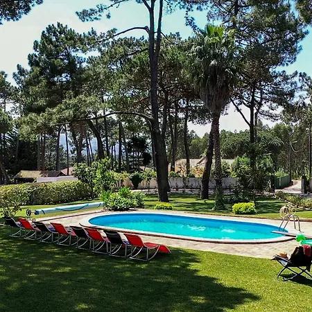 Pine Nature Вилла Sao Martinho (Lisbon)